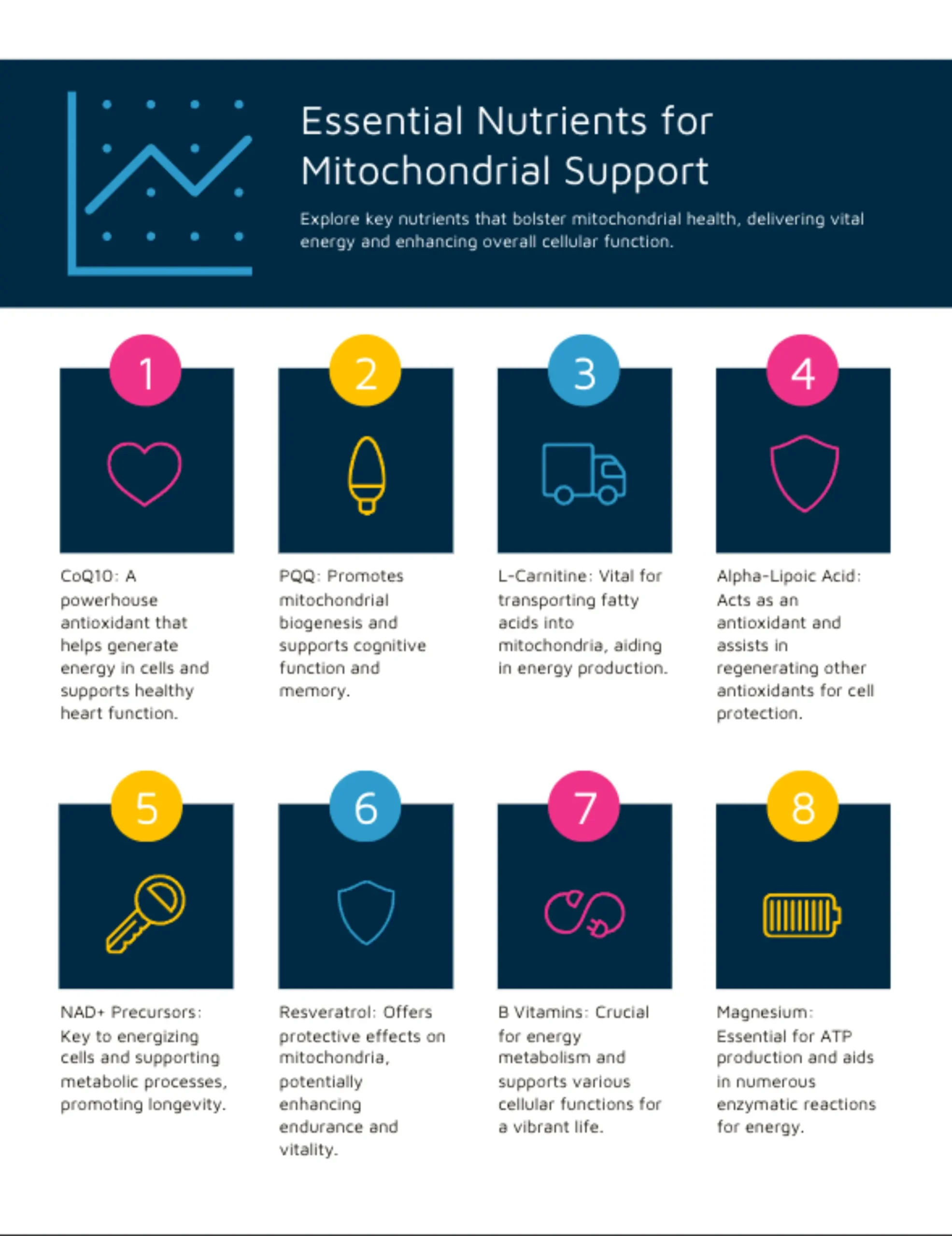 Key ingredients in mitochondrial health supplements, including CoQ10, PQQ, and Alpha-Lipoic Acid, are found in advanced mitochondrial formula